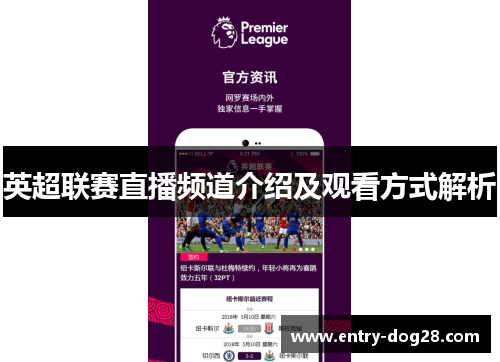 英超联赛直播频道介绍及观看方式解析